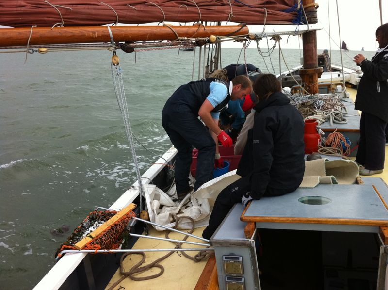 oyster dredging event